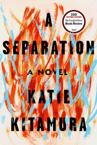 Free to download e books A Separation DJVU ePub 9780399576119