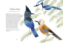 Alternative view 4 of A Charm of Goldfinches and Other Wild Gatherings: Quirky Collective Nouns of the Animal Kingdom