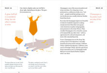 Alternative view 4 of The New Wine Rules: A Genuinely Helpful Guide to Everything You Need to Know