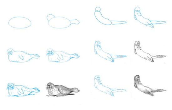 Easy Way To Draw Sea Creatures