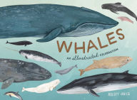 Title: Whales: An Illustrated Celebration, Author: Kelsey Oseid