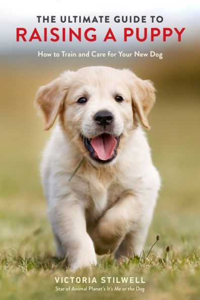 The Ultimate Guide to Raising a Puppy: How Train and Care for Your New Dog