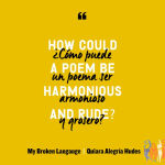 Alternative view 5 of My Broken Language
