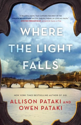 Where The Light Falls By Allison Pataki Owen Paperback Where The Light Falls By Allison Pataki Owen Paperback Barnes Le