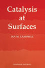 Catalysis at Surfaces