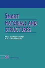Smart Materials and Structures / Edition 1
