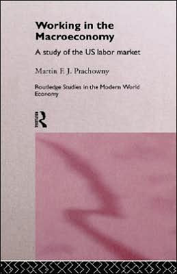 Working in the Macro Economy: A study of the US Labor Market / Edition 1