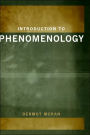 Introduction to Phenomenology / Edition 1