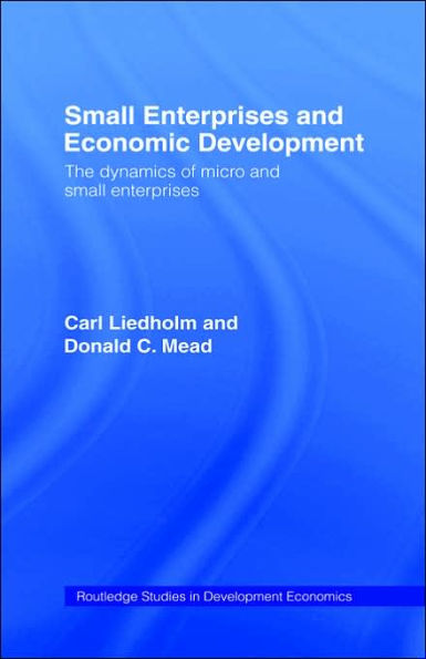 Small Enterprises and Economic Development: The Dynamics of Micro and Small Enterprises / Edition 1