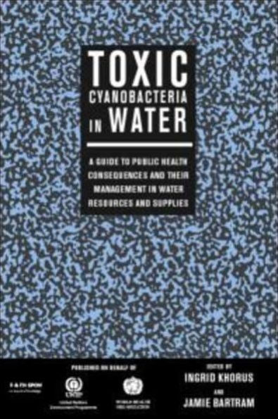Art Its Time: Theories and Practices of Modern Aesthetics