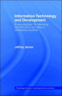 Information Technology and Development: A New Paradigm for Delivering the Internet to Rural Areas in Developing Countries / Edition 1