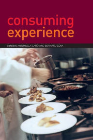 Title: Consuming Experience, Author: Antonella Caru