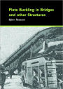 Plate Buckling in Bridges and Other Structures / Edition 1