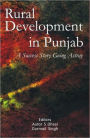 Rural Development in Punjab: A Success Story Going Astray / Edition 1