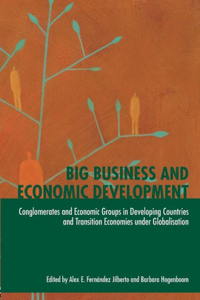 Big Business and Economic Development: Conglomerates and Economic Groups in Developing Countries and Transition Economies Under Globalisation / Edition 1