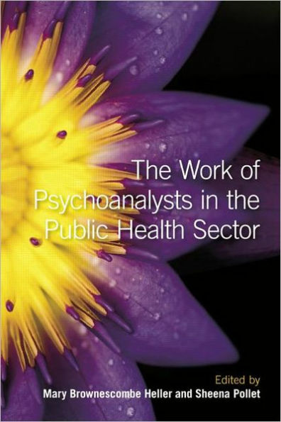 The Work of Psychoanalysts in the Public Health Sector / Edition 1