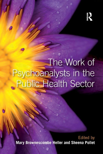 The Work of Psychoanalysts in the Public Health Sector / Edition 1