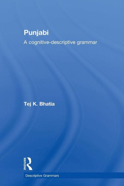 Punjabi / Edition 1