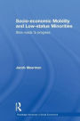 Socio-economic Mobility and Low-status Minorities: Slow roads to progress