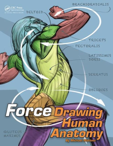 FORCE: Drawing Human Anatomy