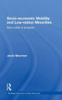 Socio-economic Mobility and Low-status Minorities: Slow roads to progress