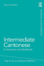 Intermediate Cantonese: A Grammar and Workbook / Edition 2