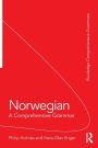 Norwegian: A Comprehensive Grammar
