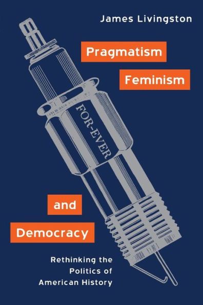 Pragmatism, Feminism, and Democracy: Rethinking the Politics of American History / Edition 1