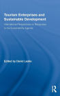 Tourism Enterprises and Sustainable Development: International Perspectives on Responses to the Sustainability Agenda / Edition 1