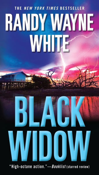 Black Widow (Doc Ford Series #15)