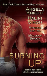 Title: Burning Up, Author: Angela Knight