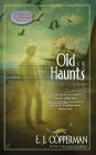 Old Haunts (Haunted Guesthouse Series #3)