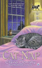 Cat Nap (Sunny and Shadow Mystery Series #2)