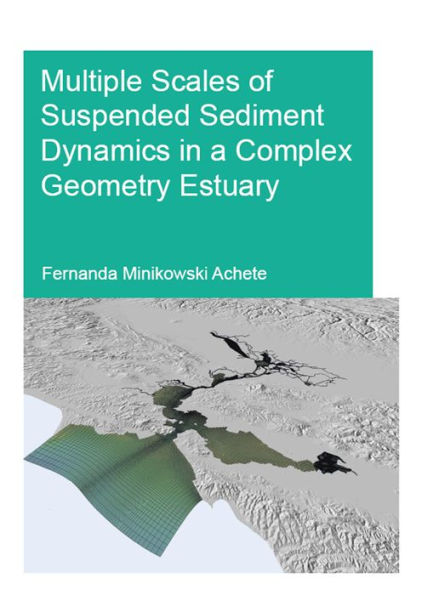 Multiple Scales of Suspended Sediment Dynamics in a Complex Geometry Estuary