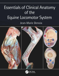 Title: Essentials of Clinical Anatomy of the Equine Locomotor System, Author: Jean-Marie Denoix