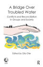 A Bridge Over Troubled Water: Conflicts and Reconciliation in Groups and Society