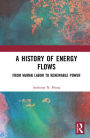 A History of Energy Flows: From Human Labor to Renewable Power