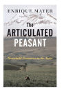 The Articulated Peasant: Household Economies In The Andes