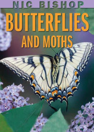 Title: Nic Bishop: Butterflies and Moths, Author: Nic Bishop