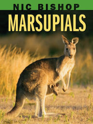 Title: Marsupials, Author: Nic Bishop