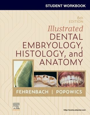 Student Workbook for Illustrated Dental Embryology, Histology and Anatomy