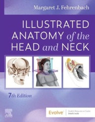 Title: Illustrated Anatomy of the Head and Neck, Author: Margaret J. Fehrenbach RDH