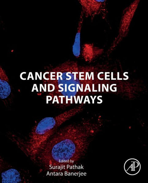 Cancer Stem Cells and Signaling Pathways