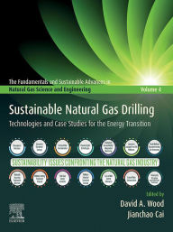 Title: Sustainable Natural Gas Drilling: Technologies and Case Studies for the Energy Transition, Author: David A. Wood