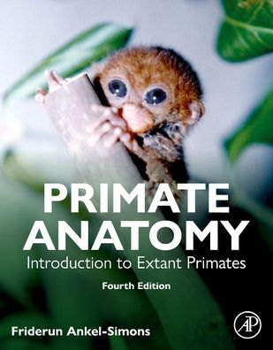 Primate Anatomy: Introduction to Extant Primates