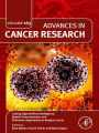 Cutting Edge Artificial Intelligence, Spatial Transcriptomics and Proteomics Approaches to Analyze Cancer