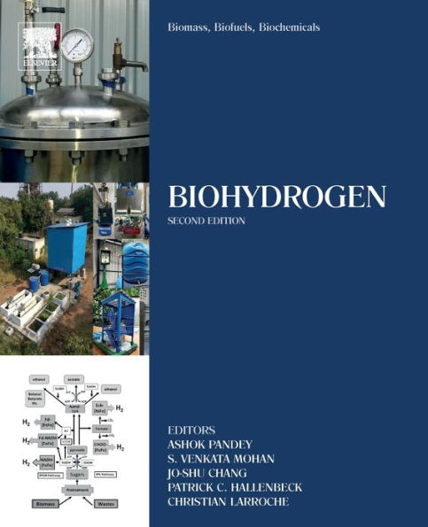 Biomass, Biofuels, Biochemicals: Biohydrogen / Edition 2