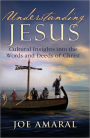 Understanding Jesus: Cultural Insights into the Words and Deeds of Christ