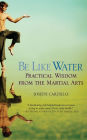 Be like Water: Practical Wisdom from the Martial Arts