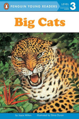 puzzle 116 big cats